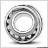 LSL192336-TB full complement Cylindrical roller bearing 180X380X126