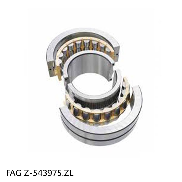 Z-543975.ZL FAG ROLL NECK BEARINGS for ROLLING MILL #1 small image