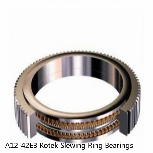 A12-42E3 Rotek Slewing Ring Bearings #1 small image