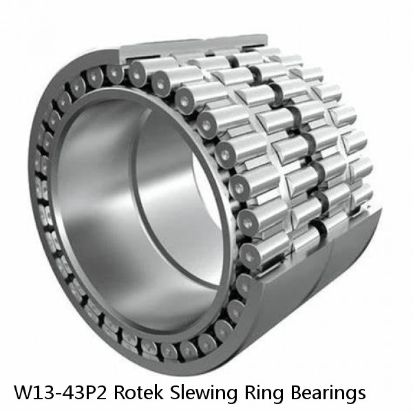 W13-43P2 Rotek Slewing Ring Bearings #1 small image