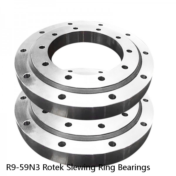 R9-59N3 Rotek Slewing Ring Bearings #1 small image