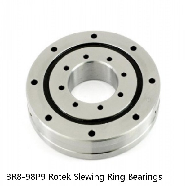 3R8-98P9 Rotek Slewing Ring Bearings #1 small image