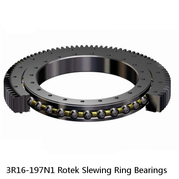 3R16-197N1 Rotek Slewing Ring Bearings #1 small image
