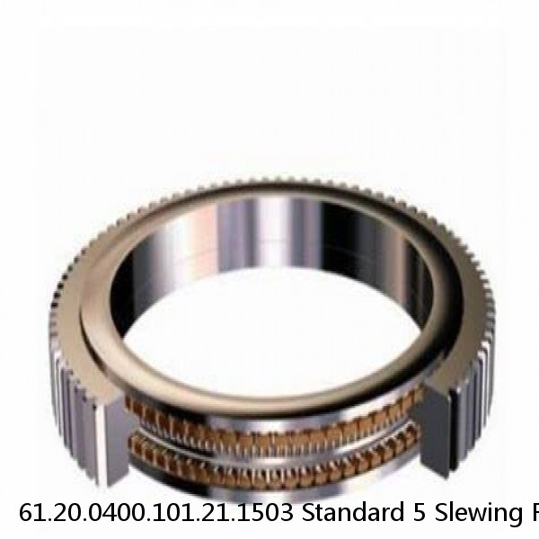 61.20.0400.101.21.1503 Standard 5 Slewing Ring Bearings #1 small image