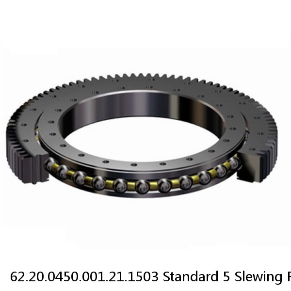62.20.0450.001.21.1503 Standard 5 Slewing Ring Bearings #1 small image