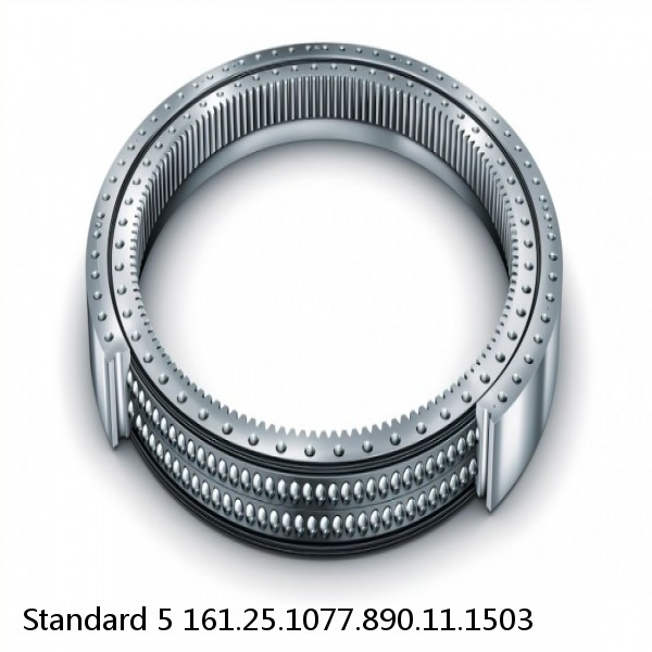 161.25.1077.890.11.1503 Standard 5 Slewing Ring Bearings #1 small image