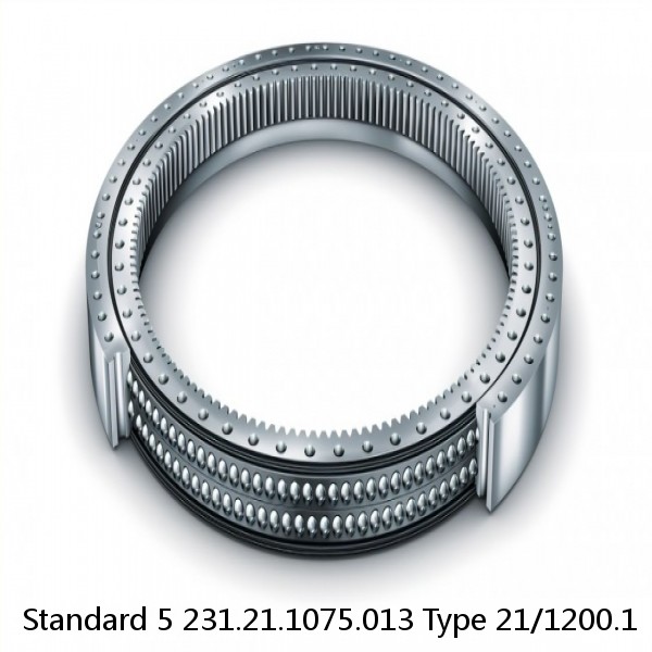 231.21.1075.013 Type 21/1200.1 Standard 5 Slewing Ring Bearings