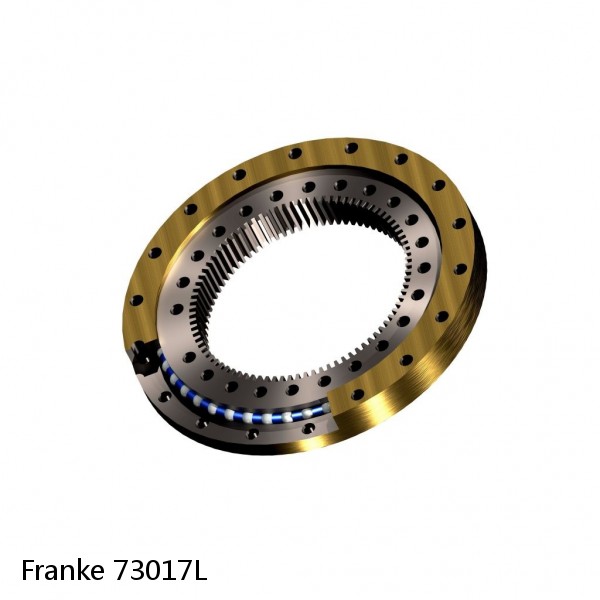 73017L Franke Slewing Ring Bearings #1 small image