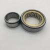 Wholesale Price N318C3 Cylindrical Roller Bearing