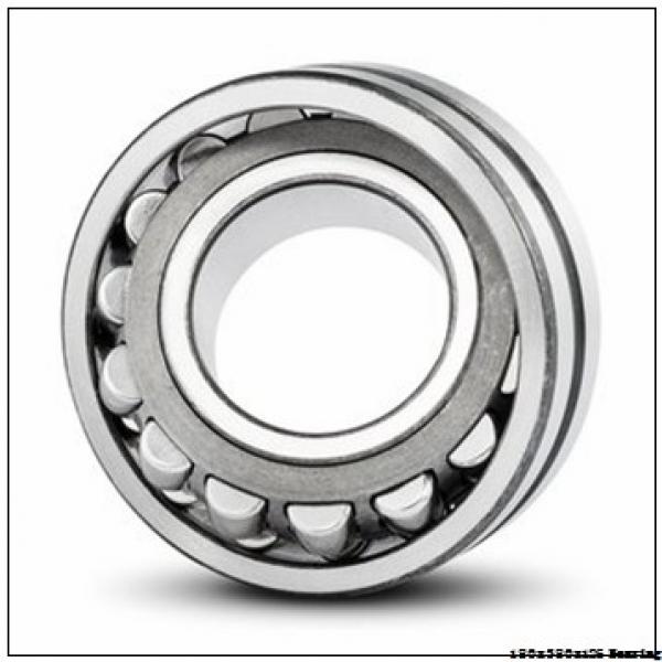 NJ 2336 EM Cylindrical roller bearing NSK NJ2336 EM Bearing Size 180x380x126 #1 image
