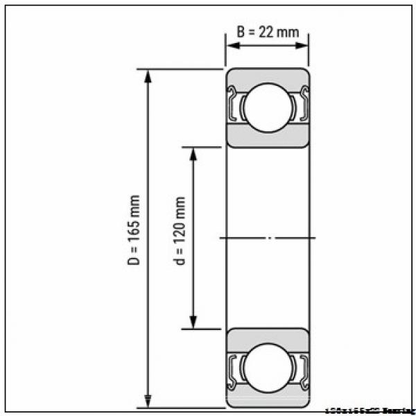 120 mm x 165 mm x 22 mm  NSK 6924 Deep groove ball bearings 6924 ZZ N NR Bearing Size 120x165x22 Single Row Radial Bearing #1 image