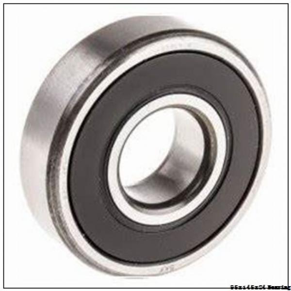 NU 1019 Cylindrical roller bearing NSK NU1019 Bearing Size 95x145x24 #1 image
