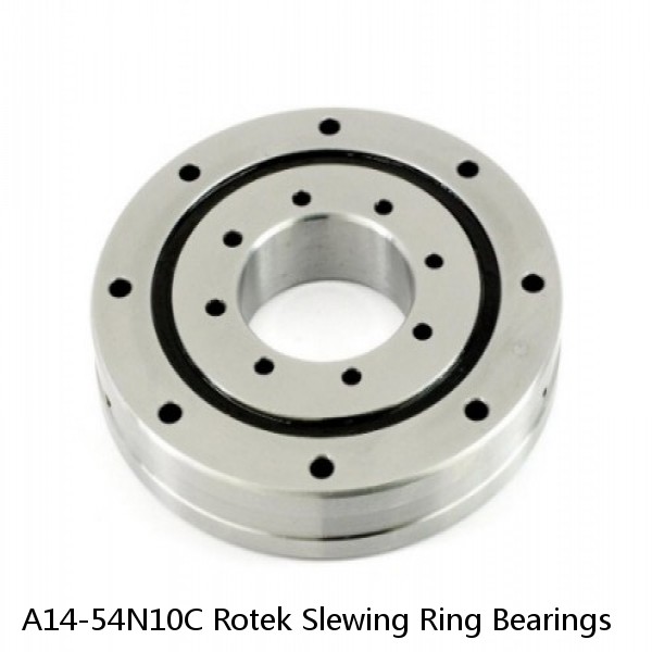 A14-54N10C Rotek Slewing Ring Bearings #1 image