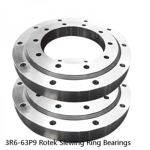 3R6-63P9 Rotek Slewing Ring Bearings #1 image