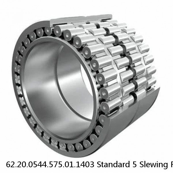 62.20.0544.575.01.1403 Standard 5 Slewing Ring Bearings #1 image