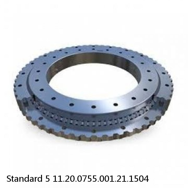 11.20.0755.001.21.1504 Standard 5 Slewing Ring Bearings #1 image