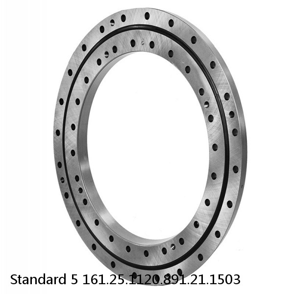 161.25.1120.891.21.1503 Standard 5 Slewing Ring Bearings #1 image