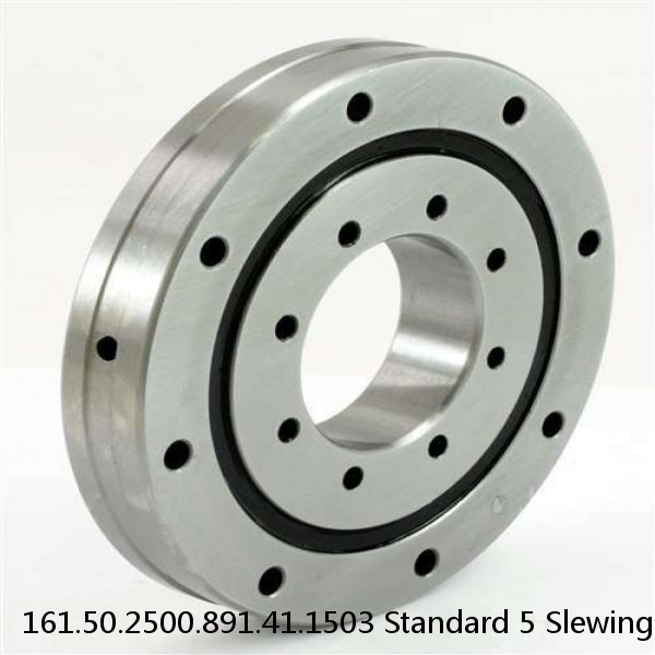 161.50.2500.891.41.1503 Standard 5 Slewing Ring Bearings #1 image