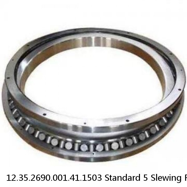 12.35.2690.001.41.1503 Standard 5 Slewing Ring Bearings #1 image