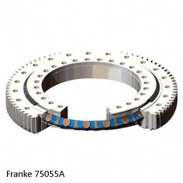 75055A Franke Slewing Ring Bearings #1 image