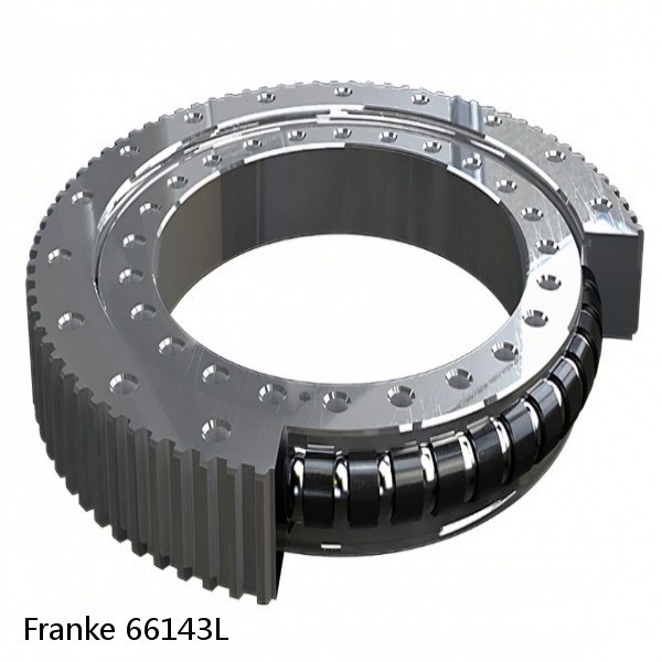 66143L Franke Slewing Ring Bearings #1 image